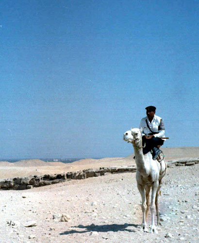 Police officer at Giza