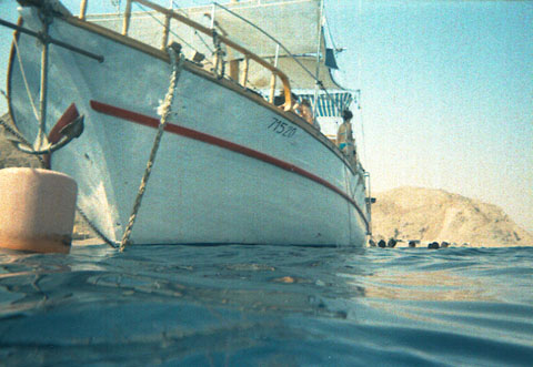 The Red Sea